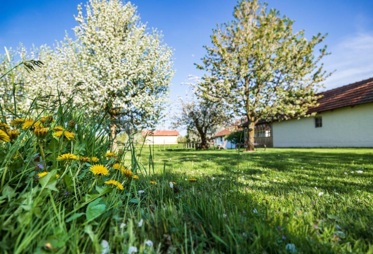 Landhaus Kreileder Бад Грисбах Екстериор снимка